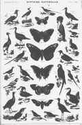 HISTOIRE NATURELLE