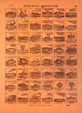 HISTORIA NATURAL - COLECCIÓN DE PECES