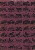 HISTORIA NATURAL