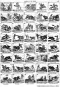 CORRIDAS DE TOROS
