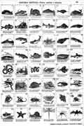 HISTORIA NATURAL.- PECES, REPTILES E INSECTOS