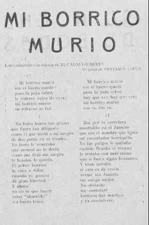 MI BORRICO MURIÓ