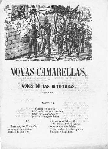 NOVAS CAMARELLAS
